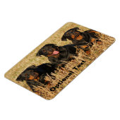 3つのロットワイラー犬 – ロッティパック マグネット (左側)