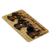 3つのロットワイラー犬 – ロッティパック マグネット (右側)