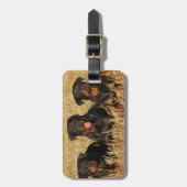 3つのロットワイラー犬 – ロッティパック ラゲッジタグ (正面縦)