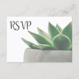 3つの入場の上等のモダンな緑のSucculent RSVP