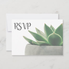 3つの入場の上等のモダンな緑のSucculent RSVP