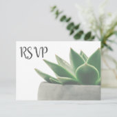 3つの入場の上等のモダンな緑のSucculent RSVP (スタンド正面)
