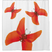 3つの名前を持つオレンジ色の赤いポピー蝶 シャワーカーテン (正面)