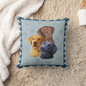 3つの実習の枕 クッション (ブランケット)