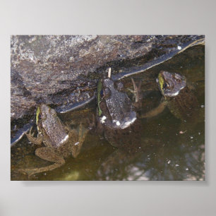 3つの小さいFroggies ポスター