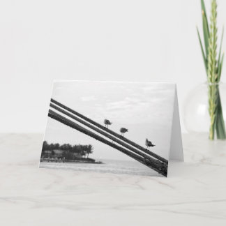 3つの小さな鳥 〜 バケーション サンキューカード