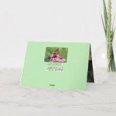 3つの庭が交わるグリーティングカード サンキューカード (裏面)