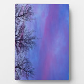 3つの木の上 フォトプラーク (正面)