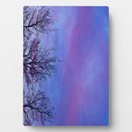 3つの木の上 フォトプラーク