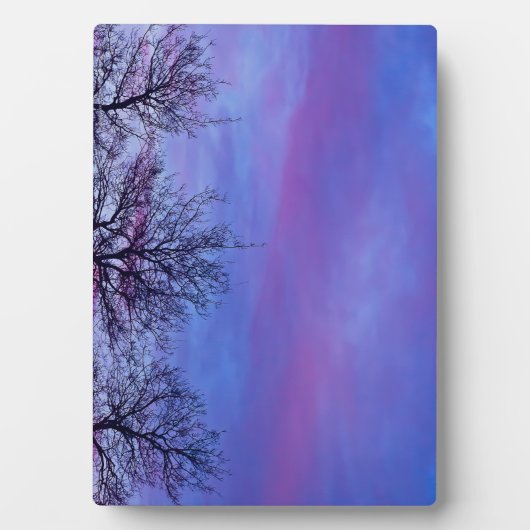 3つの木の上 フォトプラーク (正面)