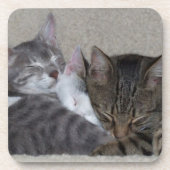 3つの猫のコースター コースター (正面)