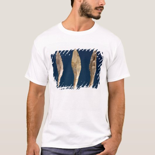 3つの矢の頭部 Tシャツ (正面)