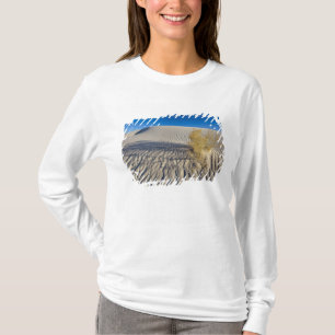 3つの砂丘 Tシャツ