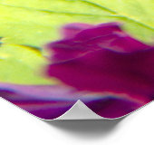 3つの美しいヴィオレットの写真 ポスター (角)