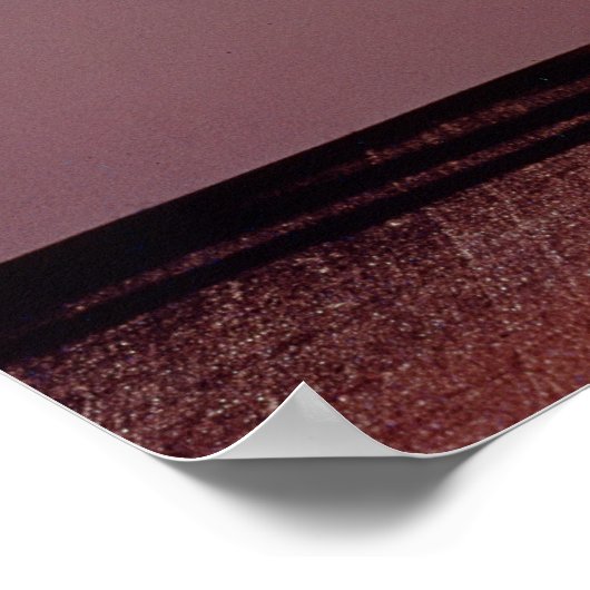 3つの蓮の花の型枠のランプ ポスター (角)