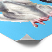 3つの賢い滑空機 ポスター (角)