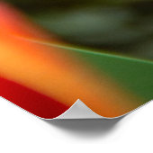 3つの赤いチューリップ写真 ポスター (角)