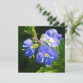 3つの青い花フラットカード (スタンド正面)