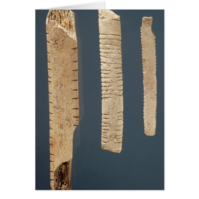 3つの飾られた骨 (正面)