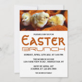 3つの黄色のチックス、オレンジと白のイースターブランチ 案内状 (正面)