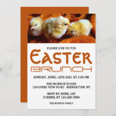 3つの黄色のチックス、オレンジと白のイースターブランチ 案内状 (正面/裏面)