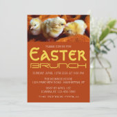 3つの黄色のチックス、黄色とオレンジのイースターブランチ 案内状 (スタンド正面)