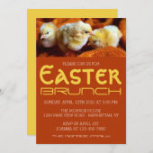 3つの黄色のチックス、黄色とオレンジのイースターブランチ 案内状 (正面/裏面)