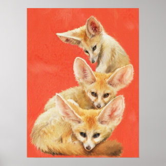 3つのFennecキツネキット ポスター