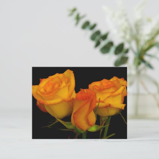 3つのFireryバラはがき ポストカード (スタンド正面)