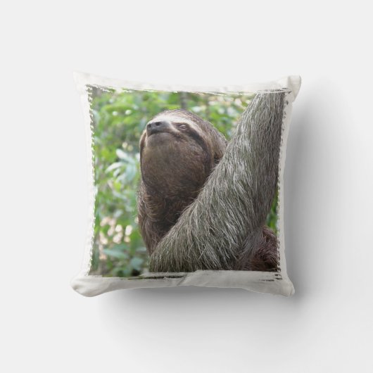 3つま先で触られた怠惰の枕 クッション (正面)