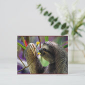 3つま先で触られた木怠惰 ポストカード (スタンド正面)