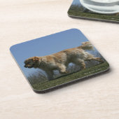 3つを走っているゴールデン・リトリーバー コースター (左側)