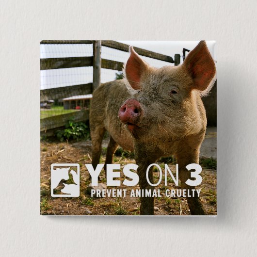 3のYes! 小型ボタン 缶バッジ (正面)