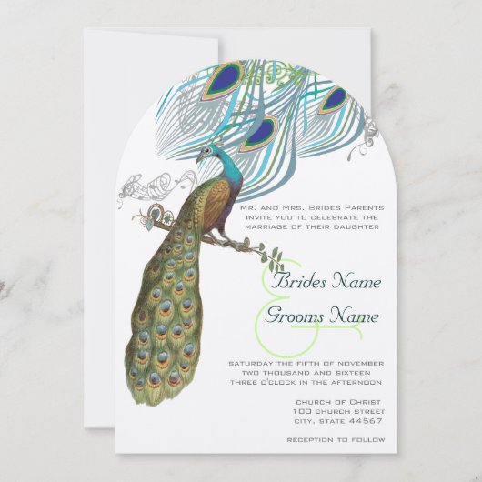 3アクアピーコックヴィンテージ羽根&バード 招待状 (正面)