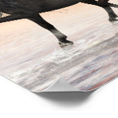 3アラブ人バリューポスター紙(マット) ポスター (角)