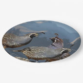 3ウズラおよびSHASTA ペーパープレート (アングル)