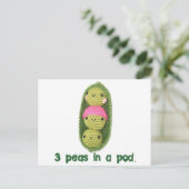3エンドウ豆 ポストカード (スタンド正面)