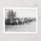 3カウボーイズのロープ馬の写真サウスダコタ ポストカード (正面)