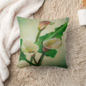 3カ素晴らしラ・ライリー植物性アクリル クッション (ブランケット)