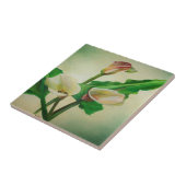 3カ素晴らしラ・ライリー植物性アクリル タイル (側面)