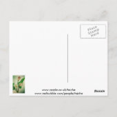 3カ素晴らしラ・ライリー植物性アクリル ポストカード (裏面)