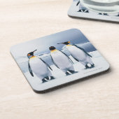 3キングペンギン コースター (左側)