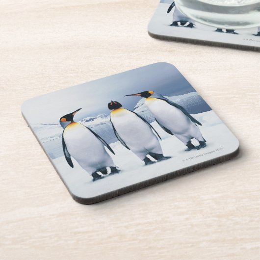 3キングペンギン コースター (左側)