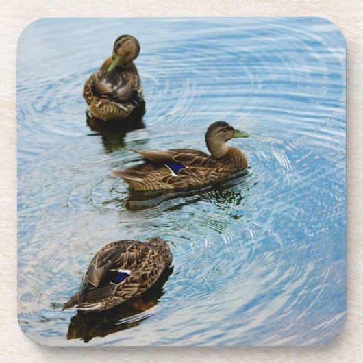 3コルクコースター コースター (正面)