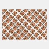 3サイズの写真違う3枚のファンキーデザイン ラッピングペーパーシート (正面3)