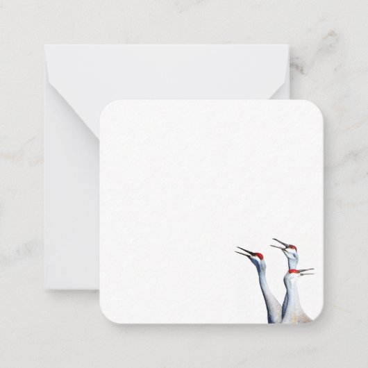 3サンドヒルクレーン写真文房具フラットノートカード ノートカード (正面)