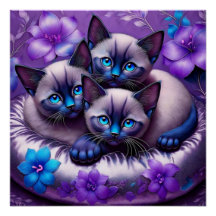 3シャム子猫紫色の花銀枕