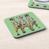 3スタンディングメルカッツサンダー_コーブ コースター (左側)