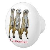 3スタンディングメルカッツサンダー_コーブ セラミックノブ (右)