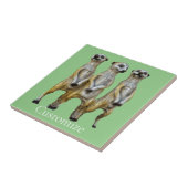 3スタンディングメルカッツサンダー_コーブ タイル (側面)